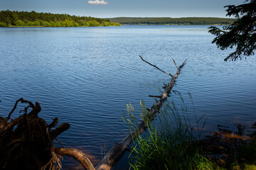 Fototapeta na wymiar lake or reservoir charpal ,Lozere France. a sunny summer day. with fallen tree in the water