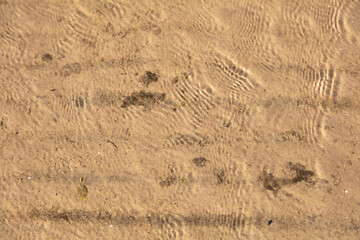 Sandy beach and gentle, soft wave, Baltic nature