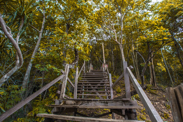 Background of wooden walkways (wooden bridges) created for high-angle views on mountains, natural attractions, or parks that have forest preservation