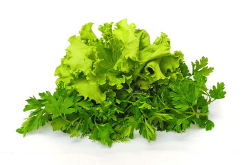 bunch of parsley and lettuce isolated on white