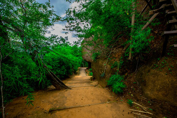 Natural background, high angle from the high mountains that can see the scenery around, the wind blows through the cool, blurred of traveling, the integrity of the moist forest.