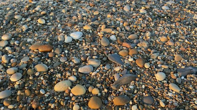 SLOW MOTION - Talitrus saltator on the pebble shore of Esposende, Portugal. Talitrus saltator, a species of sand hopper, is a common amphipod crustacean of sandy coasts around Europe. 
