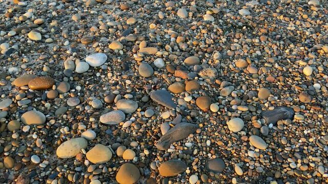 SLOW MOTION - Talitrus saltator on the pebble shore of Esposende, Portugal. Talitrus saltator, a species of sand hopper, is a common amphipod crustacean of sandy coasts around Europe. 