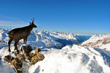 Hochgurgl Obergurgl Otztal ski resort in the Western Tyrol Austrian Alps Austria