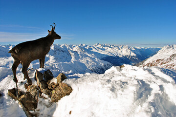 Obraz premium Hochgurgl Obergurgl Otztal ski resort in the Western Tyrol Austrian Alps Austria