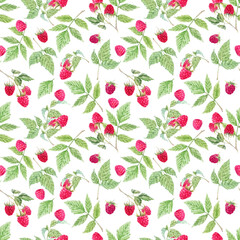 Beautiful vector seamless pattern with watercolor raspberry and leaves. Stock illustration.