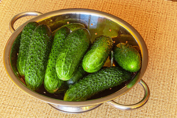 Fresh cucumbers in a colander over wooden background. Fresh produce from the Farmers Market.