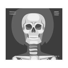 X-ray Film of Front Viewed Skull Vector Illustrated Image for Educational Purpose