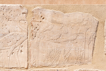 LUXOR, EGYPT - FEBRUARY 28, 2020:  Close up of egyptian hieroglyphs in Karnak temple, Valley of...