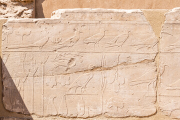 LUXOR, EGYPT - FEBRUARY 28, 2020:   Egyptian hieroglyphs with sunlight in Karnak temple