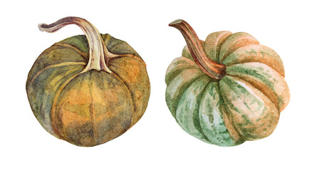 Set watercolor green and orange pumpkin isolated on white hand-drawn. October autumn illustration object for halloween, card, wallpaper, background, wrapping