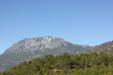 Alanya, TURKEY - August 10, 2013: Travel to Turkey. Helene Hills. Mountains in the background in the distance. Rocks, wildlife of Turkey. Forest and clear blue sky. Mediterranean Sea.