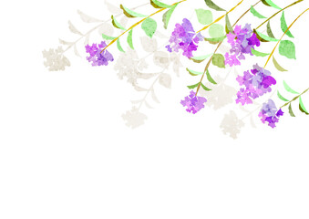 サルスベリのフレーム　水彩テクスチャ