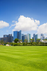 Fototapeta na wymiar Landscape with Singapore financial district. Empty green lawn with modern architecture at background. Travel, nature, background, landmark, tourist destination concept