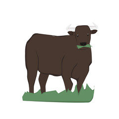 Bull Illustration