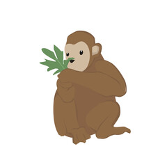 Monkey Illustration