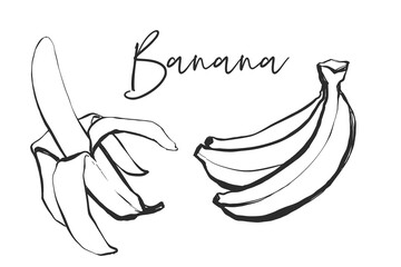 Banana bunch and banana peel. Black line fruits illustration set. Graphic vector sketch in hand drawn style. Fresh tropical elements on white background.