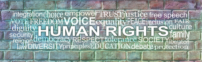 Words associated with Human Rights Brick Wall Word Cloud - rustic grunge multicoloured brick wall background with a HUMAN RIGHTS word tag cloud 
