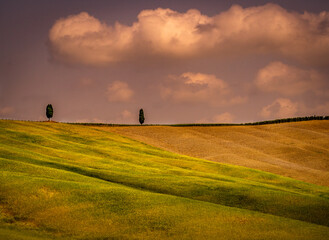 Fototapeta premium Rural landscape in Tuscany Italy