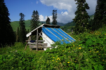 Shepherd's booth in mountains