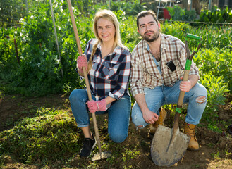 Naklejka na ściany i meble Man and woman weed the beds of weeds with a rake. High quality photo