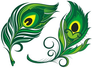 Stylized, vector peacock feathers. Set of  feathers