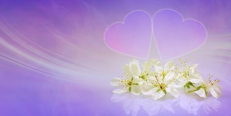 Engagement Wedding Anniversary Blossom Background - apple blossom in front of two lilac hearts against a lilac background with copy space
