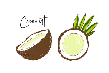 Coconut leaf, coconut half, word sign. Fruit colorful line elements. Cute vector pattern. Cartoon vintage tropical print on white background