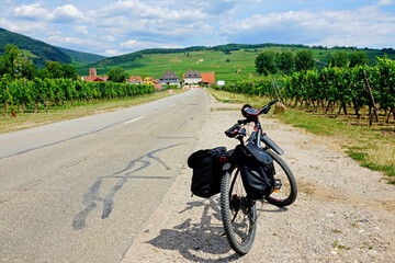 Vélotourisme à travers de Vignes, Alsace, France - obrazy, fototapety, plakaty