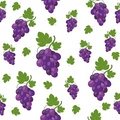 Pattern of grapes on a white background, color vector illustration, print, textile, ornament, texture