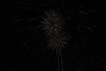 Fototapeta premium fireworks in the night sky