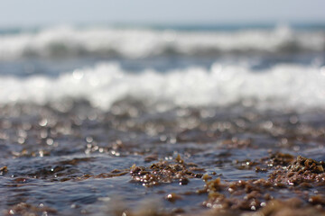 Alanya, TURKEY - August 10, 2013: Travel to Turkey. Beaches on the sea. Waves on the Mediterranean coast.