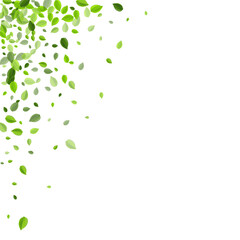 Forest Foliage Nature Vector Banner. Fly Greens 