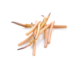 Lotus stem or Renkon (Nelumbo nucifera) isolated on white background, Plants growing in water Can be food or dessert.