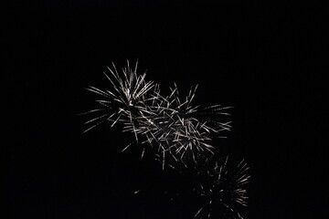 fireworks in the night sky