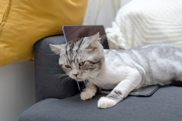 Stop doing this Human.