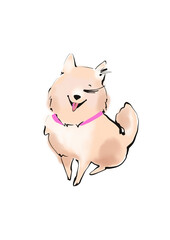 Cute spitz puppy dog illustration in watercolor style. Doggy with long lashes like fashion girl. Sketch style, hand-drawn digital drawing.