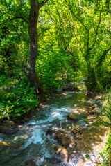 Obraz premium Turgut waterfall in Marmaris Town of Turkey