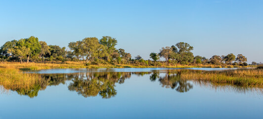 Typical beautiful african landscape, wild river in national park Bwabwata on Caprivi Strip with...