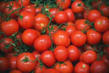 In the grocery store, there are many ripe red tomatoes on thin green twigs. Rich harvest.