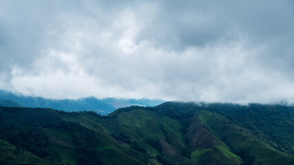 Landscape image of greenery rainforest mountains and hills on foggy day