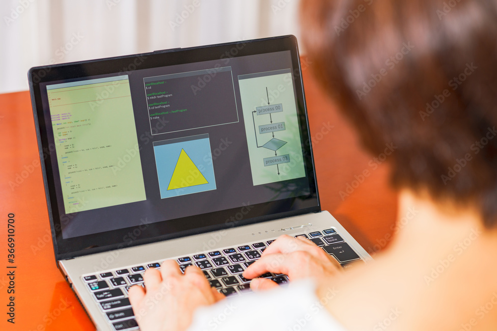 Wall mural japanese senior woman engineer debugging source code on remote work