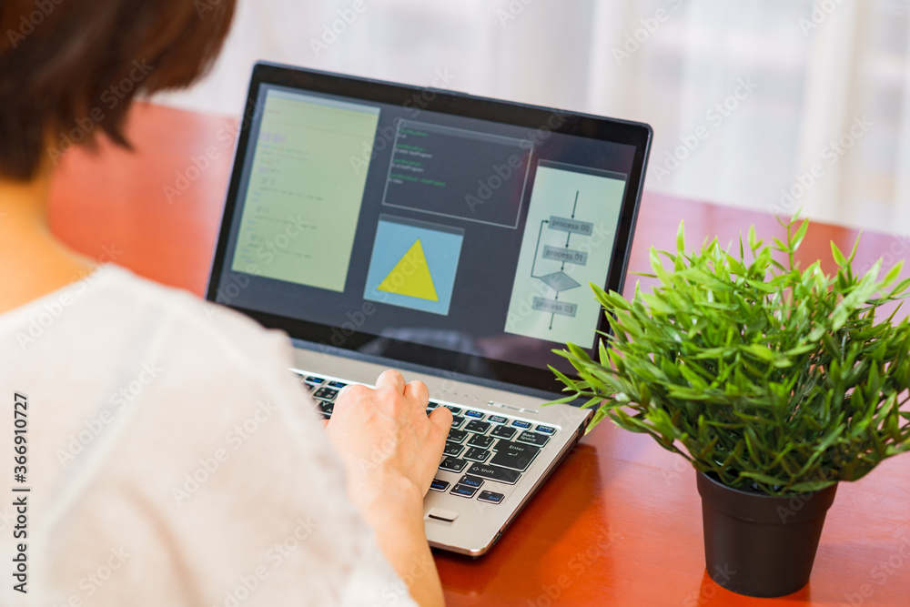 Wall mural japanese senior woman engineer debugging source code on remote work