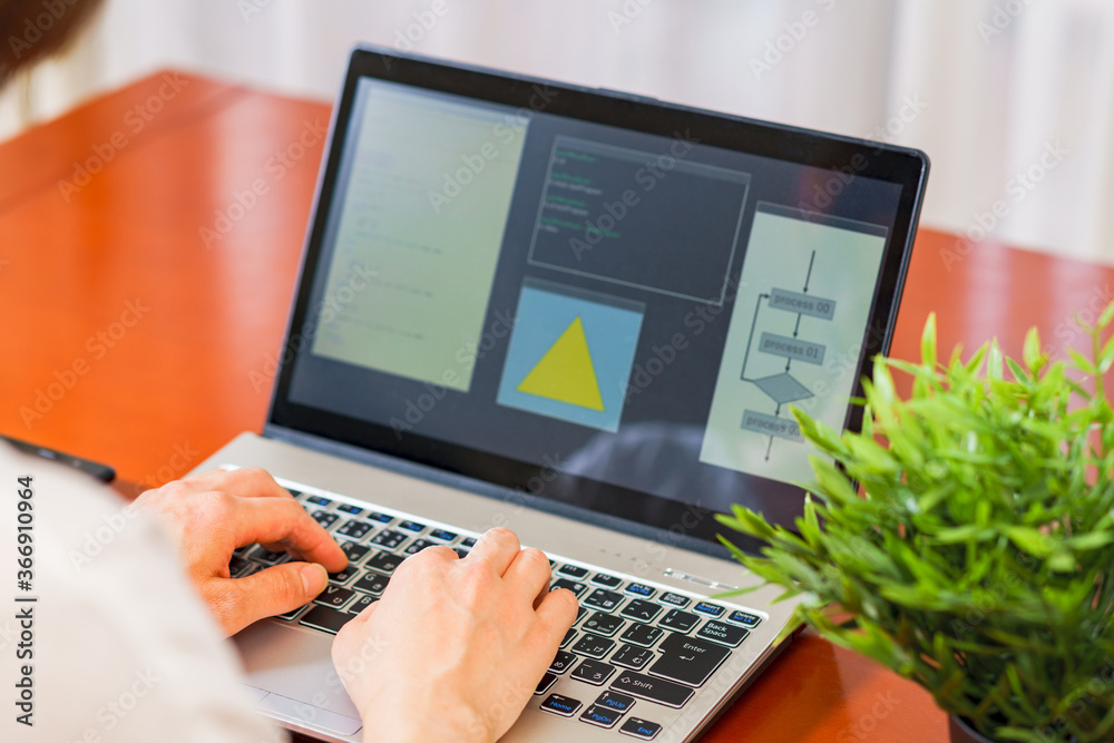Wall mural japanese senior woman engineer debugging source code on remote work