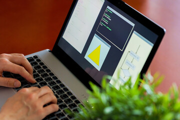 Japanese senior woman engineer debugging source code on remote work 