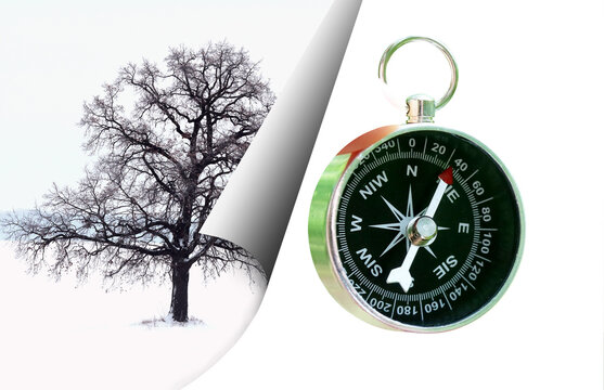 Abstract photo with lonely tree on background of winter landscape and with tourist classic compass as symbol of tourism with compass, travel with compass and outdoor activities with compass