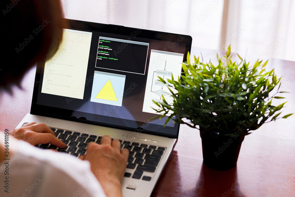 Wall mural japanese senior woman engineer debugging source code on remote work