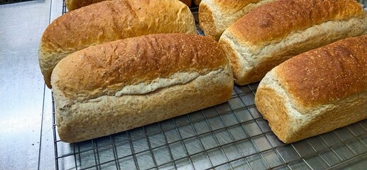 Bread from the oven