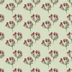 Seamless natural pattern. Silhouettes of various beautiful flowers on a gentle background. Samples for wrapping paper. Handmade graphics.