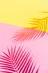 Fototapeta na wymiar Tropical shadows of two palm leaves branches over pink and yellow paper background. Summer theme concept